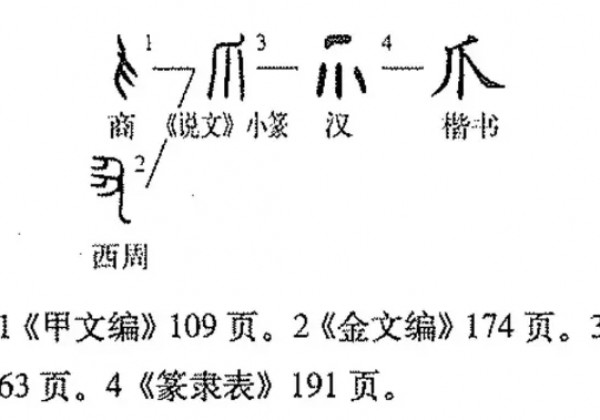 张牙舞爪的爪不读zhuǎ，正确读音是这个！